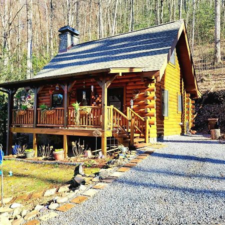 The Little Wolf Cabin Мегги-Вэлли Экстерьер фото